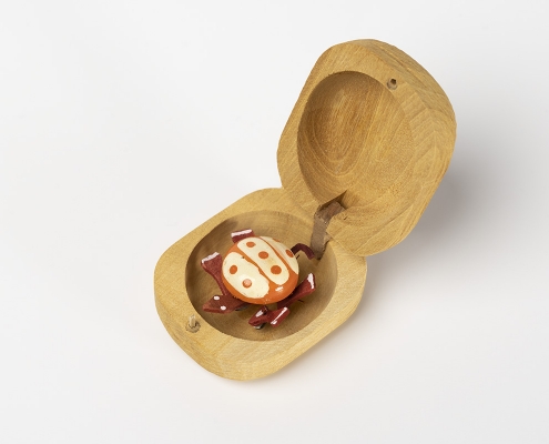 Selbstwert_Schildkröte